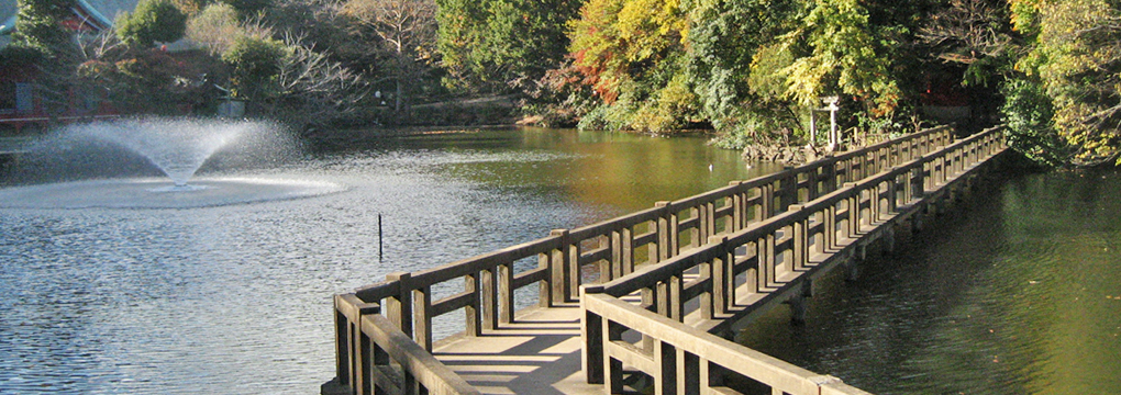 井の頭公園